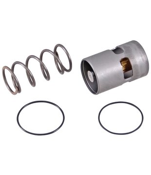 2901161700 Thermostaatklep Sonetto/SCK/Largo/Allegro (60°C)