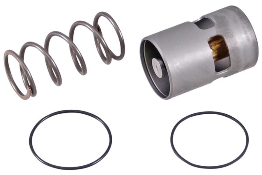 2901161700 Thermostaatklep Sonetto/SCK/Largo/Allegro (60°C)