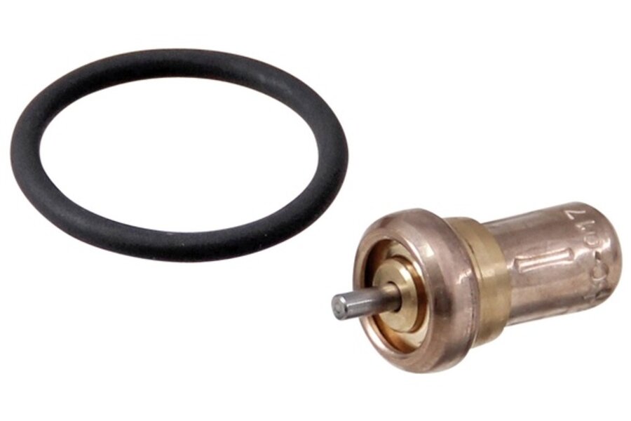 2200599825 Thermostaatklep met ring CSB (71 gr.)