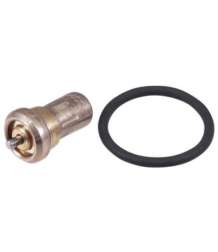 AB7250051 Thermostaatklep CSM/CSA (71 gr.)