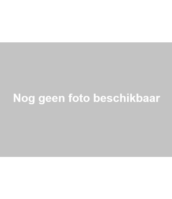 Gegalvaniseerde pijpnippel 1 1/2" x 100mm