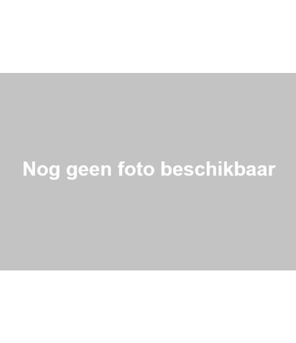 Gegalvaniseerde plug 1 1/2" uitw.