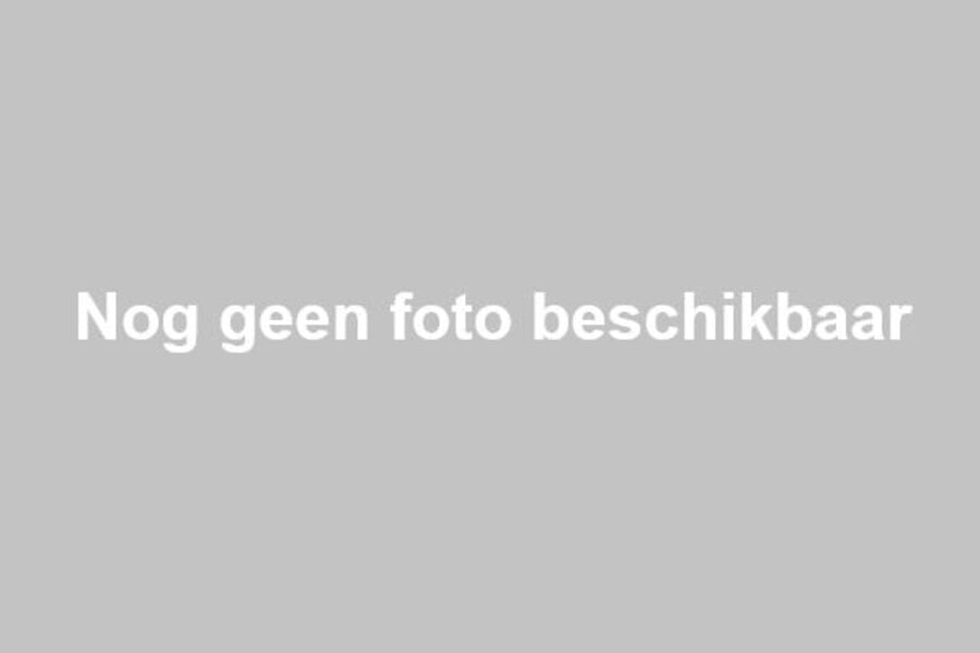 Gegalvaniseerde plug 2" uitw.