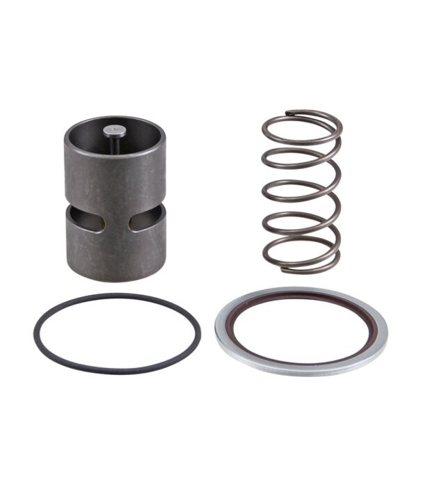 2901007400 Thermostaatklep GA55-90C