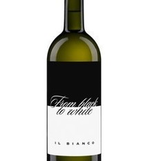 Zyme - 2017 From black to white