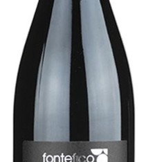 Fontefico - 2013 Montepulciano Riserva 'Tittinge' DOC