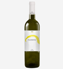 Cantina Ariano - Falanghina