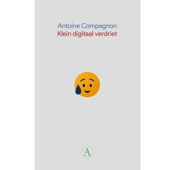 Klein digitaal verdriet