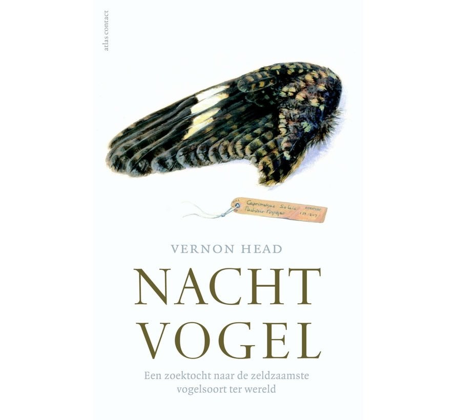 Nachtvogel