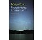 Morgenvroeg in New York