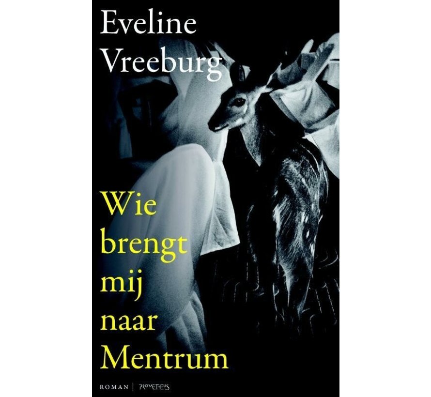 Wie brengt mij naar Mentrum