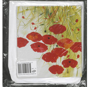 Koopjeshoek KD JOKE VERWEERD - BTW 6% !!