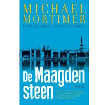 De maagdensteen saga 1 - De maagdensteen