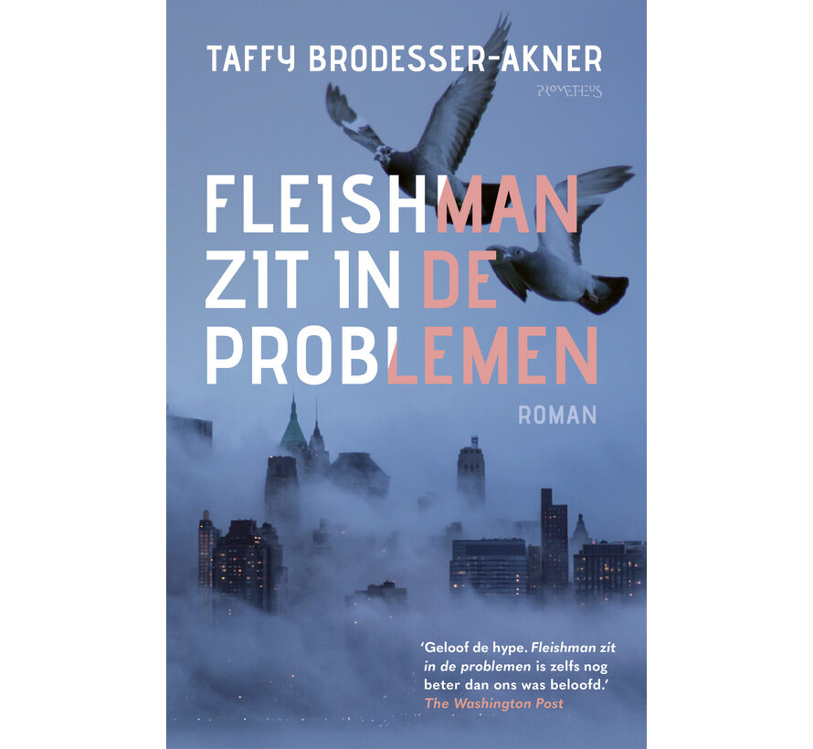 Fleishman zit in de problemen