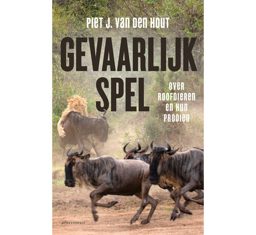 Gevaarlijk spel