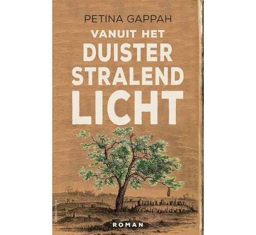 Vanuit het duister stralend licht