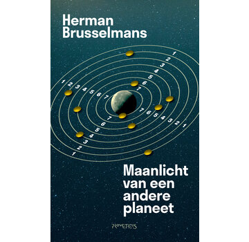 De man die werk vond 4 - Maanlicht van een andere planeet