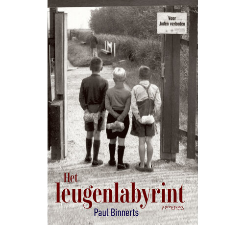 Het leugenlabyrint