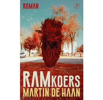 Ramkoers