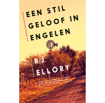 1+1 gratis Een stil geloof in engelen