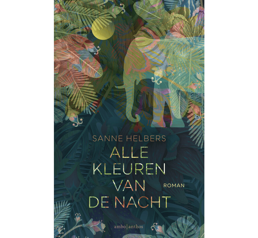 Alle kleuren van de nacht