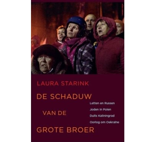 De schaduw van de grote broer