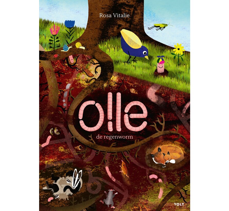 Olle de regenworm