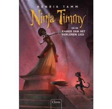 Ninja Timmy en de kamer van het verloren lied