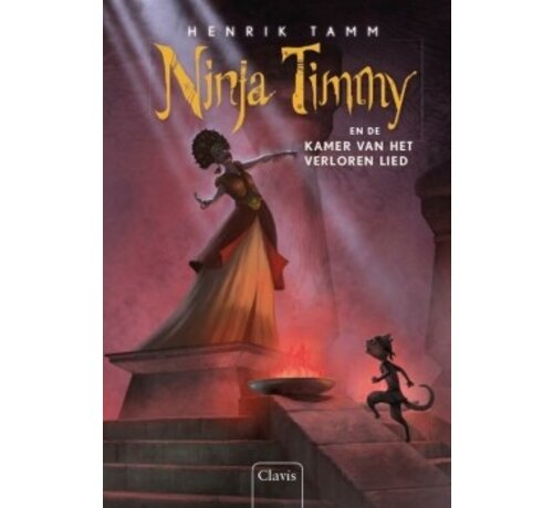 Ninja Timmy 5 - Ninja Timmy en de kamer van het verloren lied