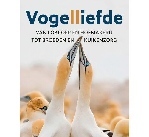 1+1 gratis Vogelliefde
