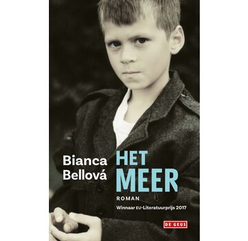 Het meer