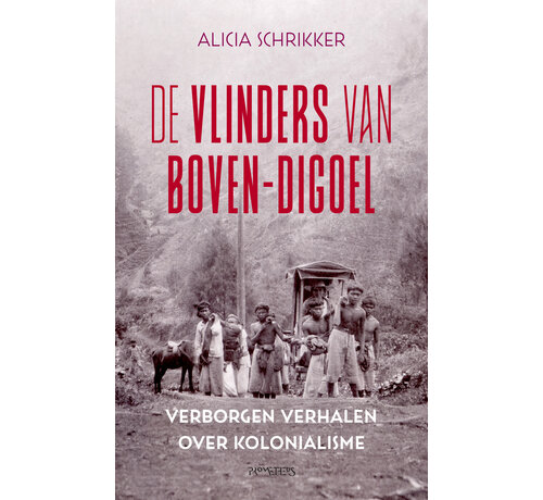 De vlinders van Boven-Digoel