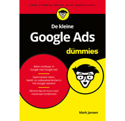 De kleine Google Ads voor dummies