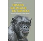 Tussen glimlach en grimas