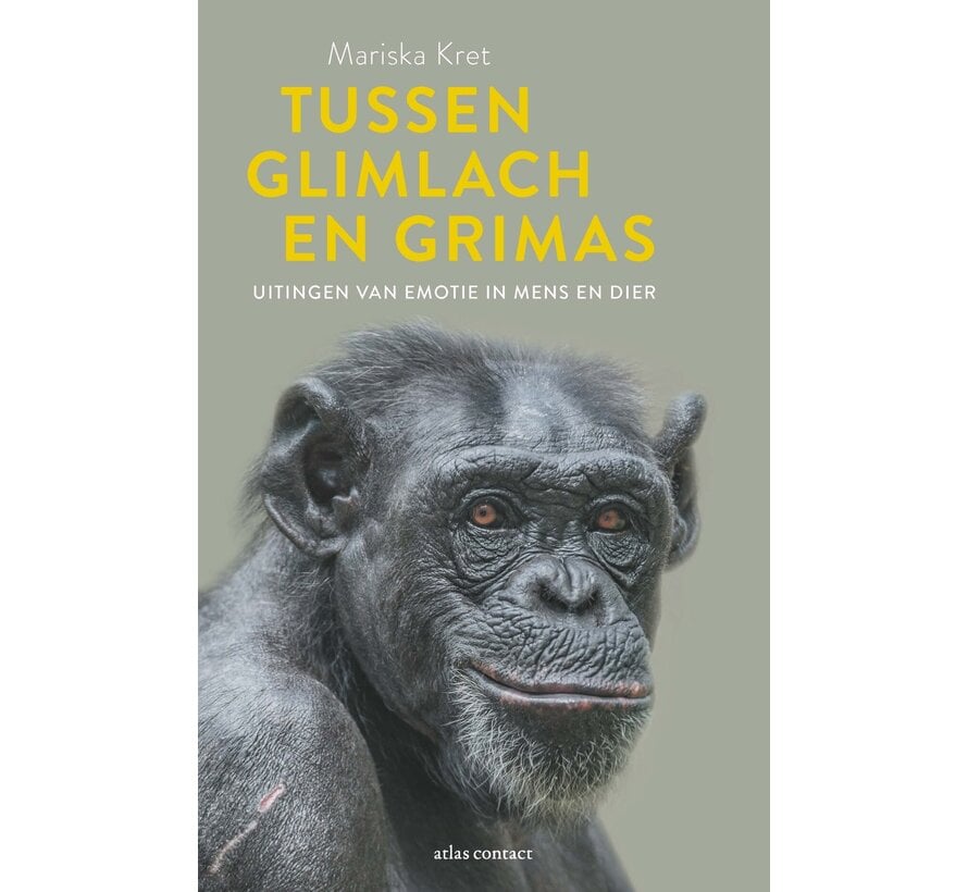 Tussen glimlach en grimas