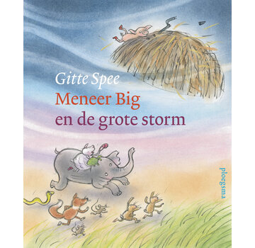 Meneer Big en de grote storm