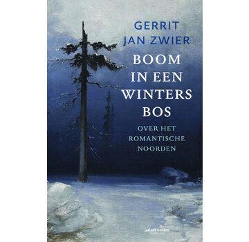 Boom in een winters bos