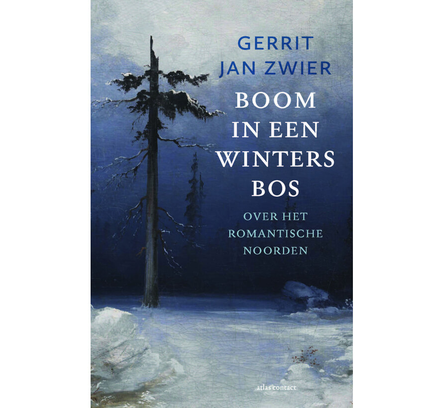 Boom in een winters bos