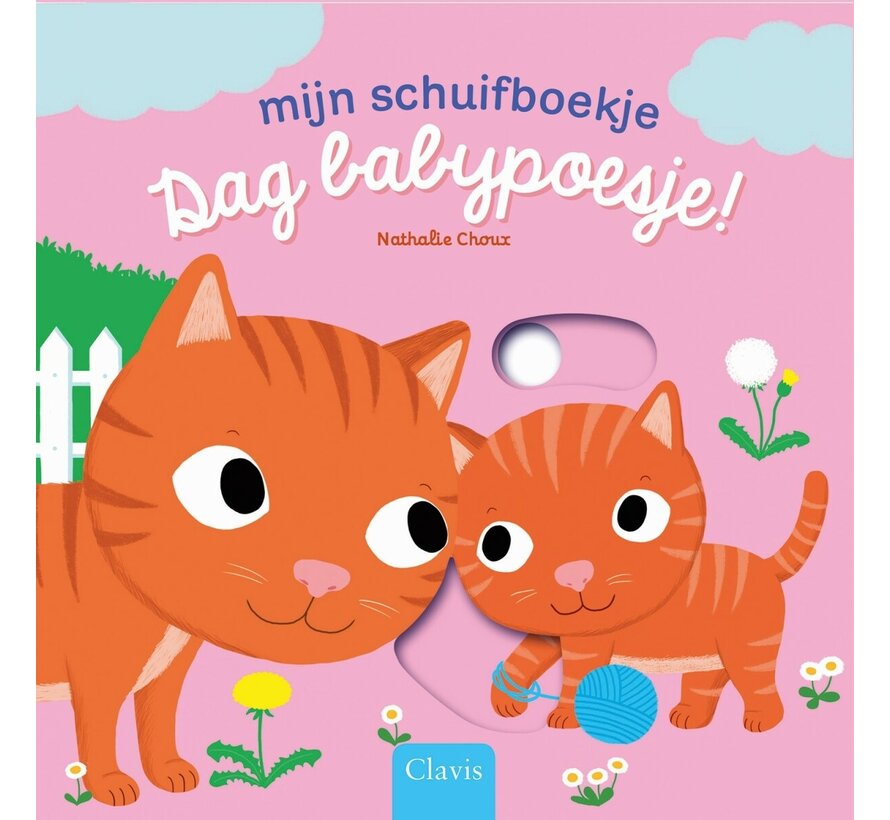 Mijn schuifboekje - Dag babypoesje!