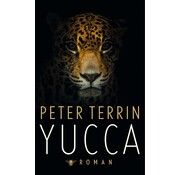 Yucca
