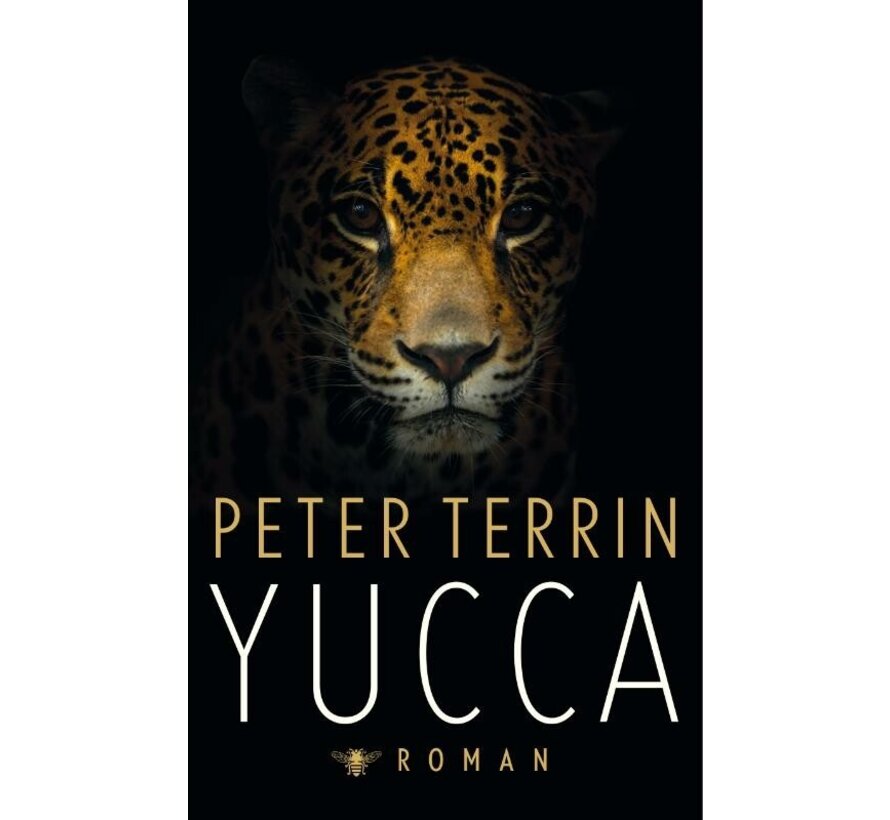 Yucca