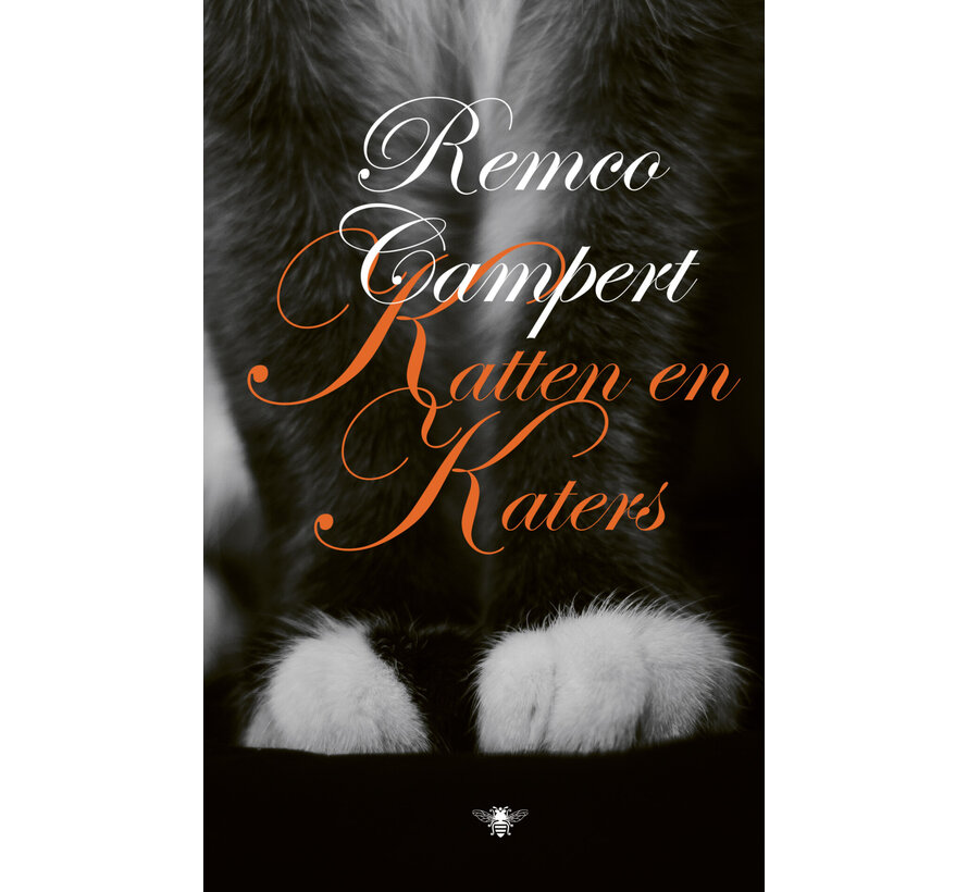 Katten en katers