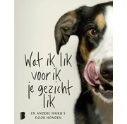 Wat ik lik voor ik je gezicht lik