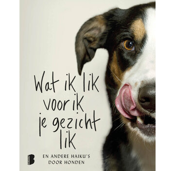 Wat ik lik voor ik je gezicht lik