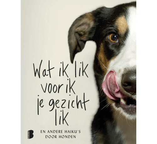 Wat ik lik voor ik je gezicht lik