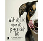 Wat ik lik voor ik je gezicht lik