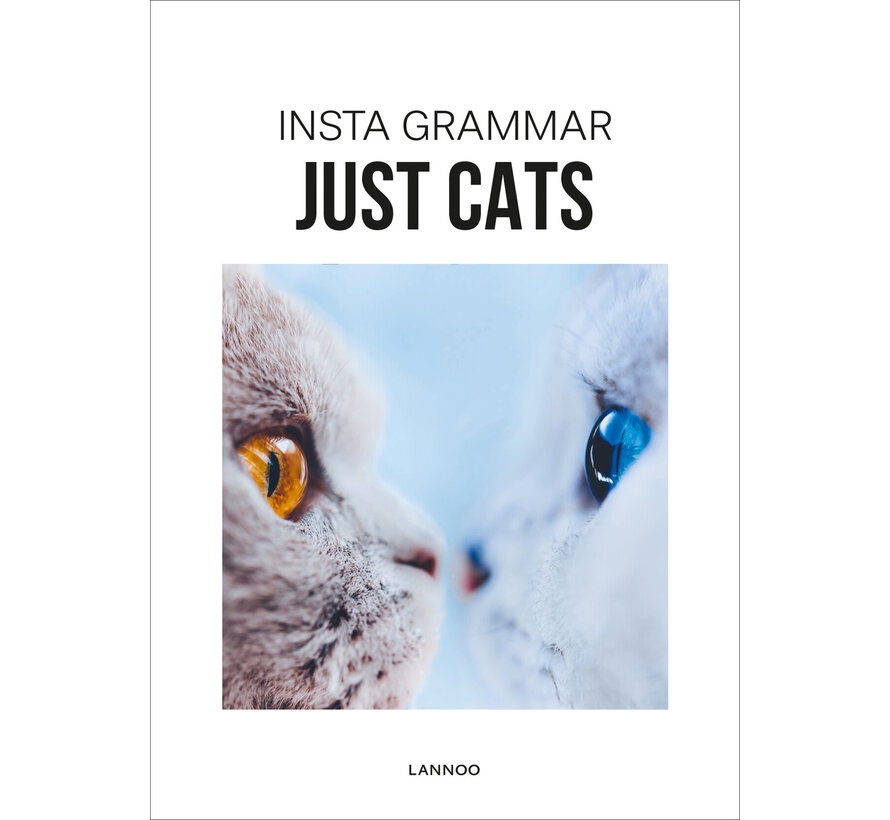 Insta Grammar - Just Cats