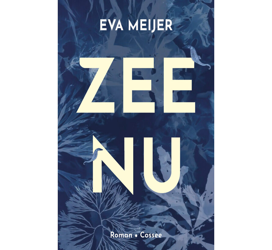 Zee nu