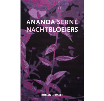 1+1 gratis Nachtbloeiers