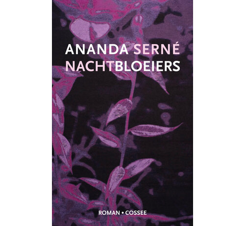 Nachtbloeiers
